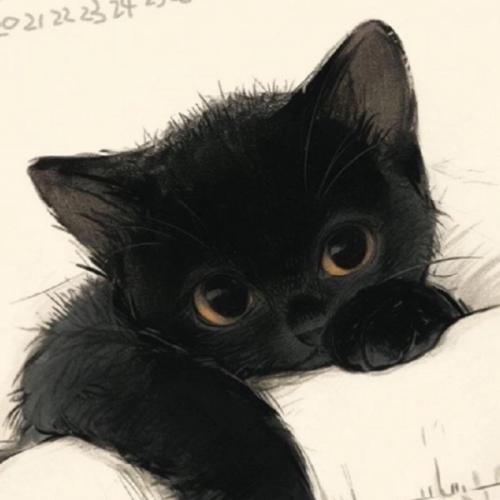 สมาชิกหมายเลข 7080263