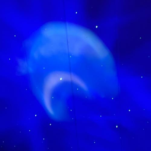 สมาชิกหมายเลข 8086784