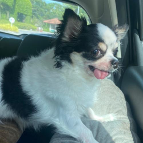 สมาชิกหมายเลข 8467000