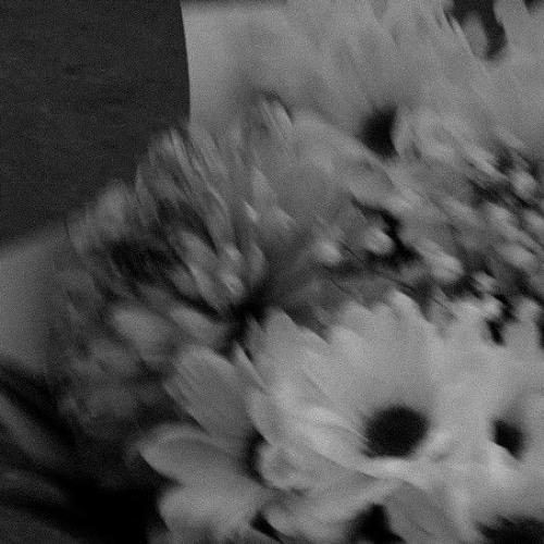 สมาชิกหมายเลข 8760758