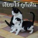 สมาชิกหมายเลข 1107681