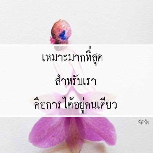 สมาชิกหมายเลข 4303052