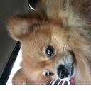 สมาชิกหมายเลข 4303395