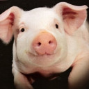 สมาชิกหมายเลข 1687387