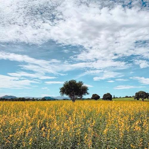 สมาชิกหมายเลข 4439065