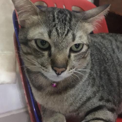 สมาชิกหมายเลข 5014645