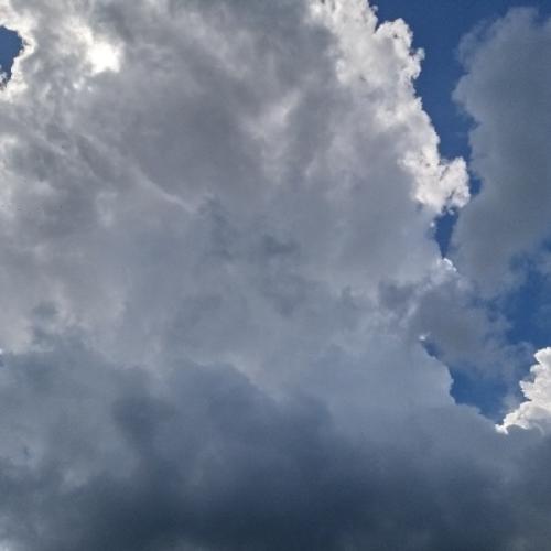 สมาชิกหมายเลข 4170399