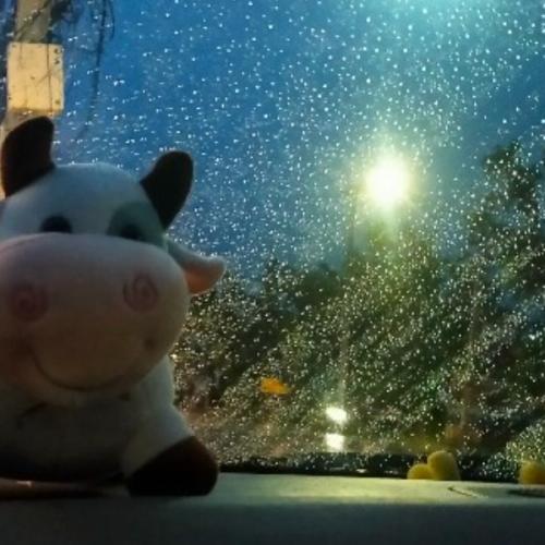 สมาชิกหมายเลข 6562238