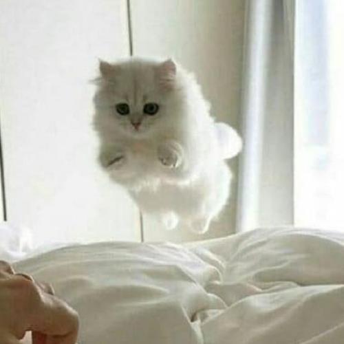 สมาชิกหมายเลข 7737307