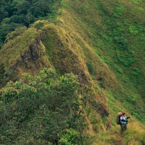 สมาชิกหมายเลข 8519812