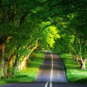 สมาชิกหมายเลข 3837248