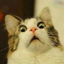 สมาชิกหมายเลข 4023941