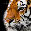 สมาชิกหมายเลข 4303944