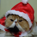 สมาชิกหมายเลข 3242776