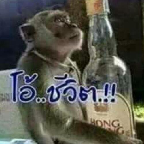 สมาชิกหมายเลข 4668130