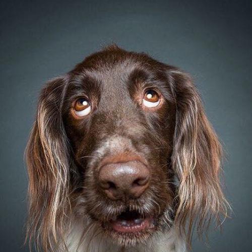 สมาชิกหมายเลข 4681107