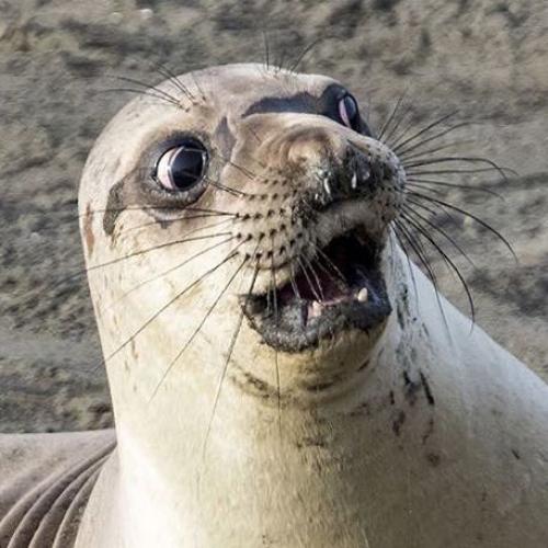 สมาชิกหมายเลข 4546813