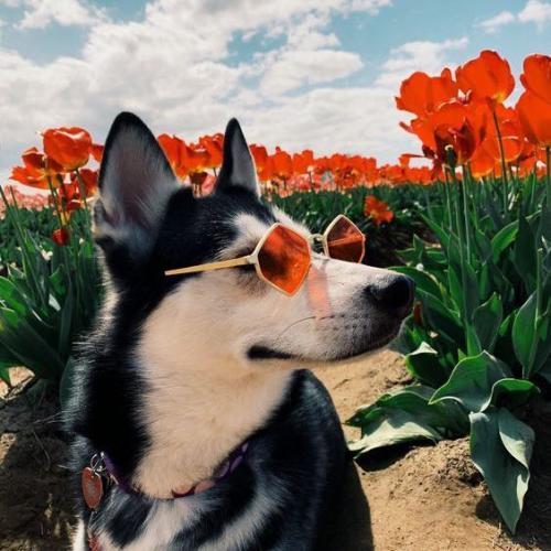 สมาชิกหมายเลข 1801204