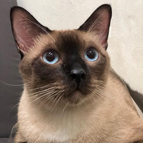 สมาชิกหมายเลข 5416247