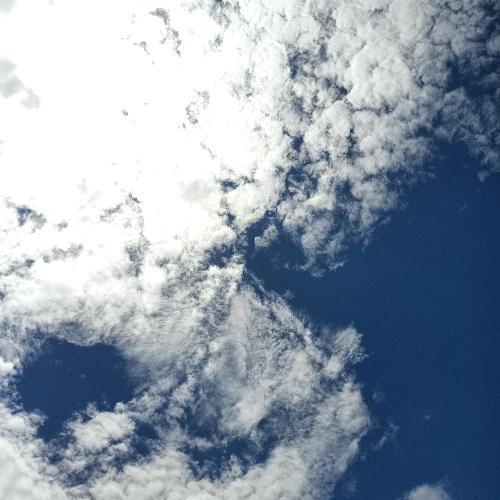 สมาชิกหมายเลข 4140663