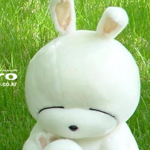 สมาชิกหมายเลข 5956709