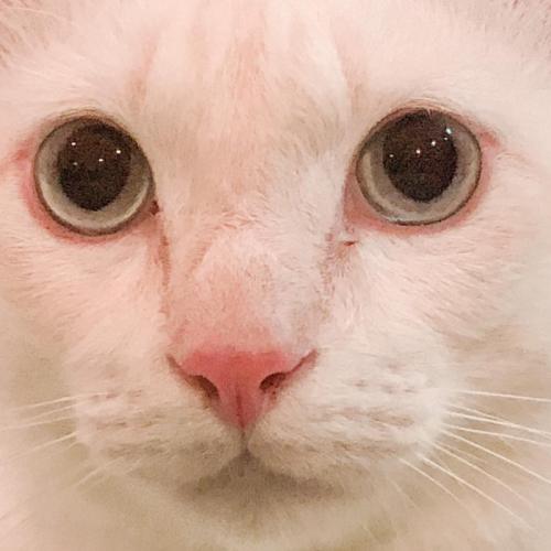 สมาชิกหมายเลข 6563012