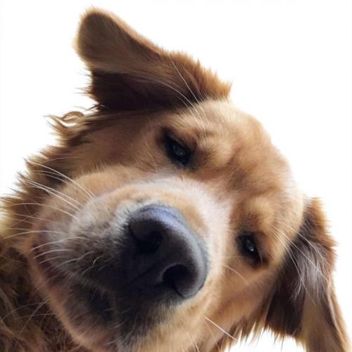 สมาชิกหมายเลข 7182425