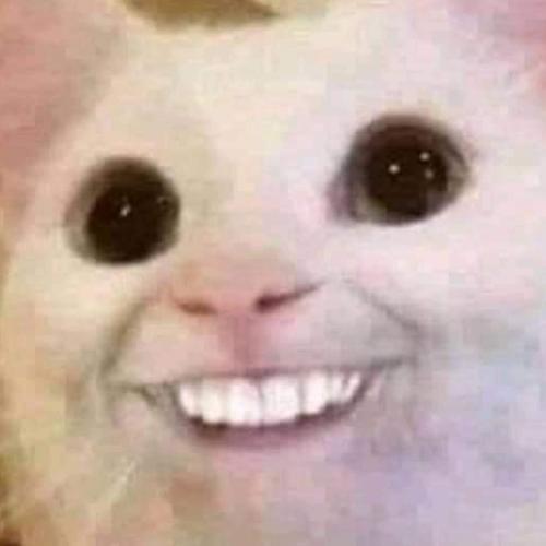 สมาชิกหมายเลข 6749203