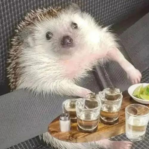 สมาชิกหมายเลข 8051922