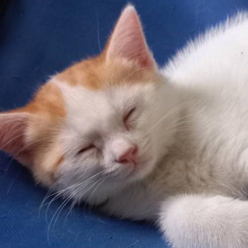 สมาชิกหมายเลข 8117543