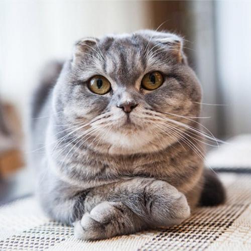 สมาชิกหมายเลข 8118472