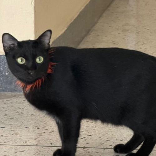 สมาชิกหมายเลข 5326372