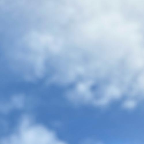 สมาชิกหมายเลข 8383936