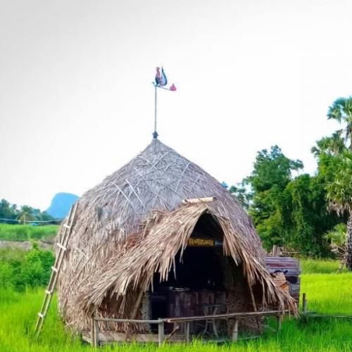 สมาชิกหมายเลข 8718788