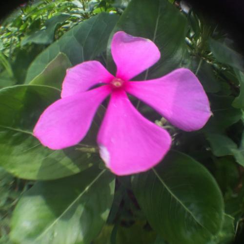 สมาชิกหมายเลข 2368416