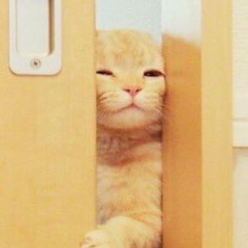 สมาชิกหมายเลข 4681636