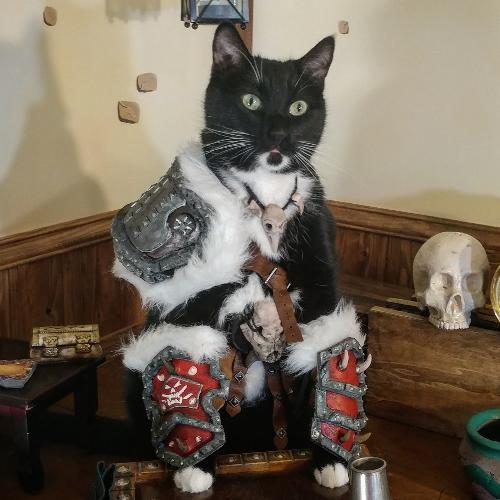 สมาชิกหมายเลข 2197025