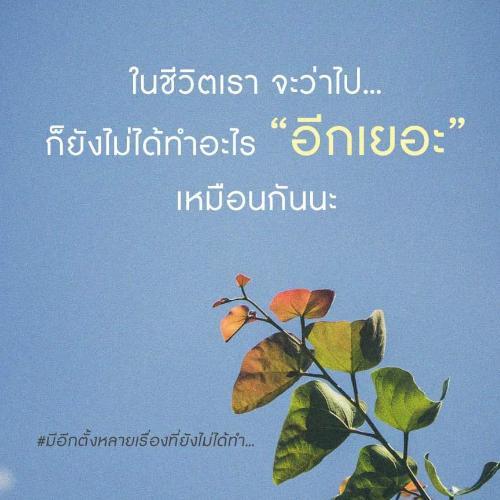 สมาชิกหมายเลข 3228928