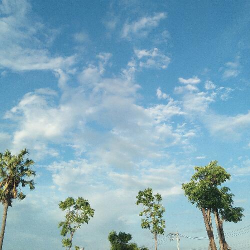 สมาชิกหมายเลข 5439322