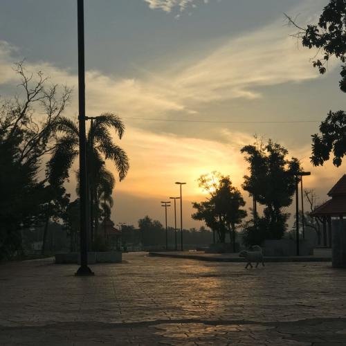 สมาชิกหมายเลข 5957534