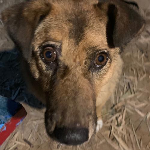 สมาชิกหมายเลข 7291894