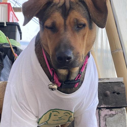 สมาชิกหมายเลข 6992489