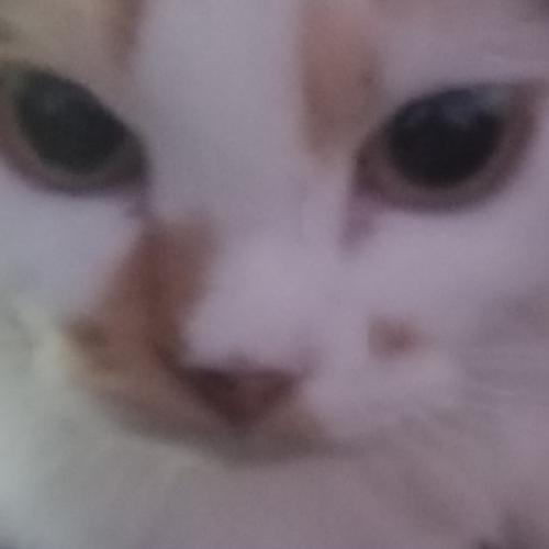 สมาชิกหมายเลข 8117758