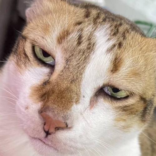 สมาชิกหมายเลข 7595512