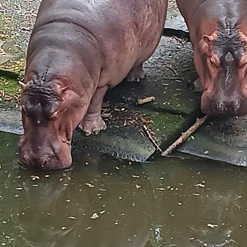 สมาชิกหมายเลข 8596231