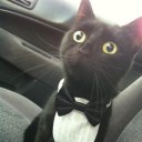 สมาชิกหมายเลข 3837861