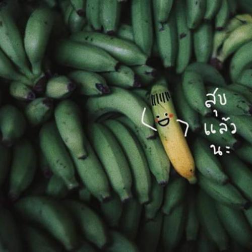 สมาชิกหมายเลข 4642520