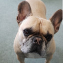 สมาชิกหมายเลข 4682065