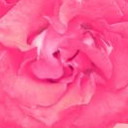 สมาชิกหมายเลข 709904