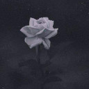 เนี่ยเราเอง